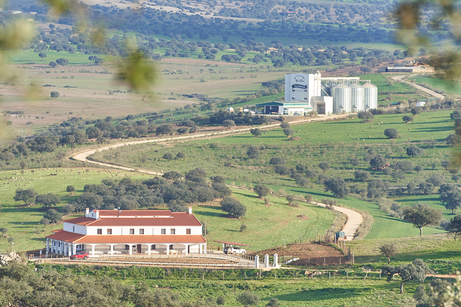 Fabrica Vera Vieja